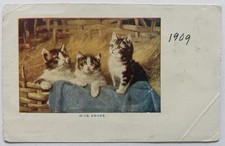 Antique 1909 postcard for sale  Pflugerville
