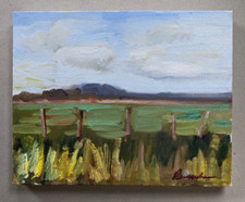 ORIGINAL SALLY ROSENBAUM - PINTURA PAISAGEM ÓLEO SOBRE TELA CENA RURAL 10" x 8" comprar usado  Enviando para Brazil