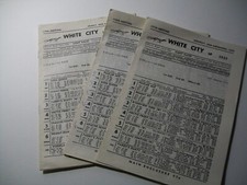 White city greyhound for sale  MANCHESTER