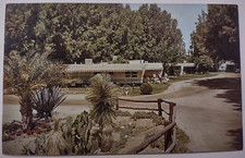Vintage desert cypress for sale  Lake City