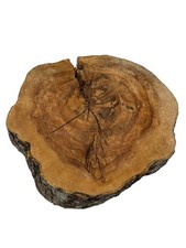 Baumscheibe apfelbaum durchmes gebraucht kaufen  Ennigerloh