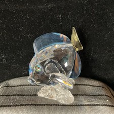 blue tang for sale blue tang for sale  YATELEY