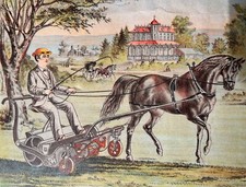 Anúncio comercial publicitário vitoriano década de 1880 Excelsior cortadores jardins ingleses dirigidos a cavalo comprar usado  Enviando para Brazil