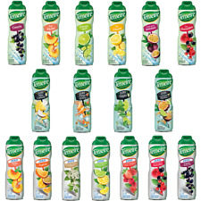 Teisseire sirup geschmäcker gebraucht kaufen  Braunschweig