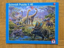 Schmidt puzzle teile gebraucht kaufen  Langenlonsheim