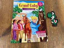 Grand galop vol d'occasion  Falaise