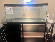 Gallon breeder aquarium for sale  Voorhees