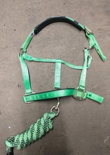 Elite padded headcollar for sale  STROUD