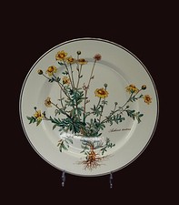 Villeroy boch speiseteller gebraucht kaufen  Hohenkammer