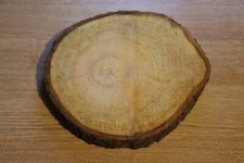 Large wooden log for sale  CHELTENHAM