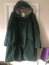 Seasalt green plant for sale Seasalt green plant for sale  YORK