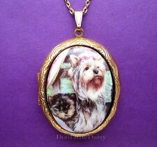 Porcelain yorkshire terrier for sale  Ararat