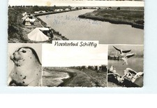 Schillig schillig gebraucht kaufen  Deutschland
