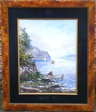 Athos brioschi paesaggio usato  Italia