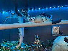Snake enrichment climbing for sale  HULL