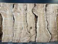 Lot large maple for sale Lot large maple for sale  Chico