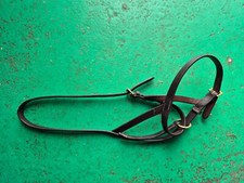 Foal leather slip for sale  MORPETH