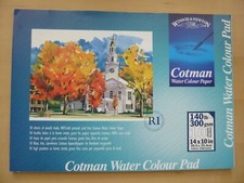 Winsor newton cotman for sale  NEWCASTLE