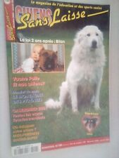 Chiens laisses 149 d'occasion  Wervicq-Sud
