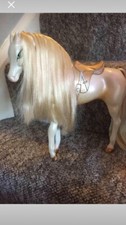 Barrie various horse for sale  WORCESTER