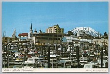 State view panorama for sale  Newton