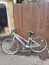 Apollo excelle bicycle for sale  WITHAM