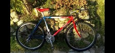 Ritchey mtb vintage usato  Sogliano al Rubicone
