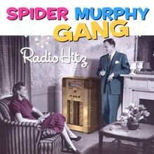 Radio hitz spider gebraucht kaufen  Berlin