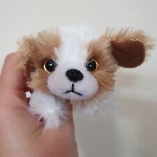 Russ petooties pets for sale  HORSHAM