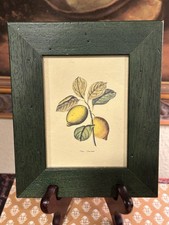 Small italian dark for sale  Casselberry
