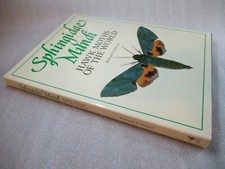 Sphingidae mundi hawk for sale  WIGAN