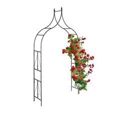 Arche rosier tonnelle d'occasion  Expédié en France