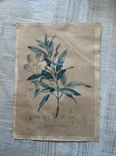 Lithographie 17eme gravure d'occasion  Valence