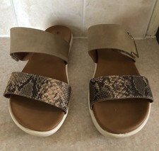 Lunar beige animal for sale  BLACKPOOL