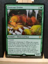 Evercoat ursine bloomburrow for sale  COVENTRY