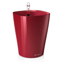 Lechuza deltini rosso usato  Roccagloriosa