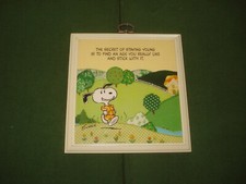 1970 peanuts snoopy for sale  Fairport
