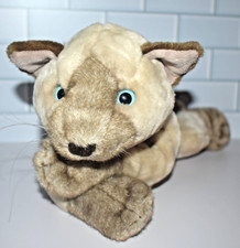 animal alley cat for sale animal alley cat for sale Cincinnati