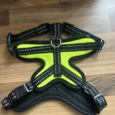 Pull dog pet for sale  BLYTH