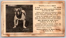 Shasta akc bulldog for sale  Newton