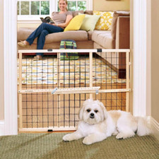 Mypet north states for sale  Flagstaff