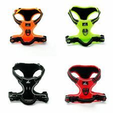 Premium dog harness for sale  MAIDENHEAD