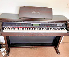 casio digital piano gebraucht kaufen casio digital piano gebraucht kaufen Büsingen