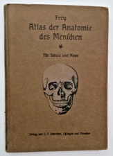 Frey atlas anatomie gebraucht kaufen  Schwerin