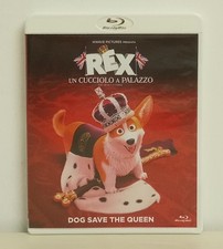 Rex cucciolo palazzo usato  Macerata