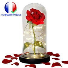 Rose éternelle led d'occasion Rose éternelle led d'occasion  Paris XVII