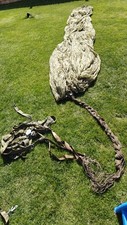 Parachute vietnam era for sale  Orland Park