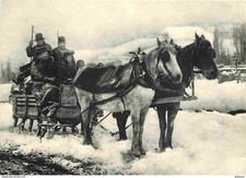 Animaux chevaux auvergne d'occasion  Fruges