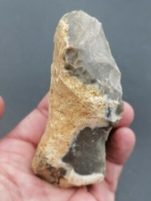Middle paleolithic neanderthal d'occasion  Bonneville