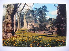 Dryburgh abbey postcard for sale  FALKIRK